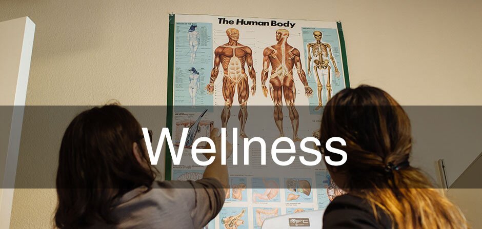 Header: Wellness